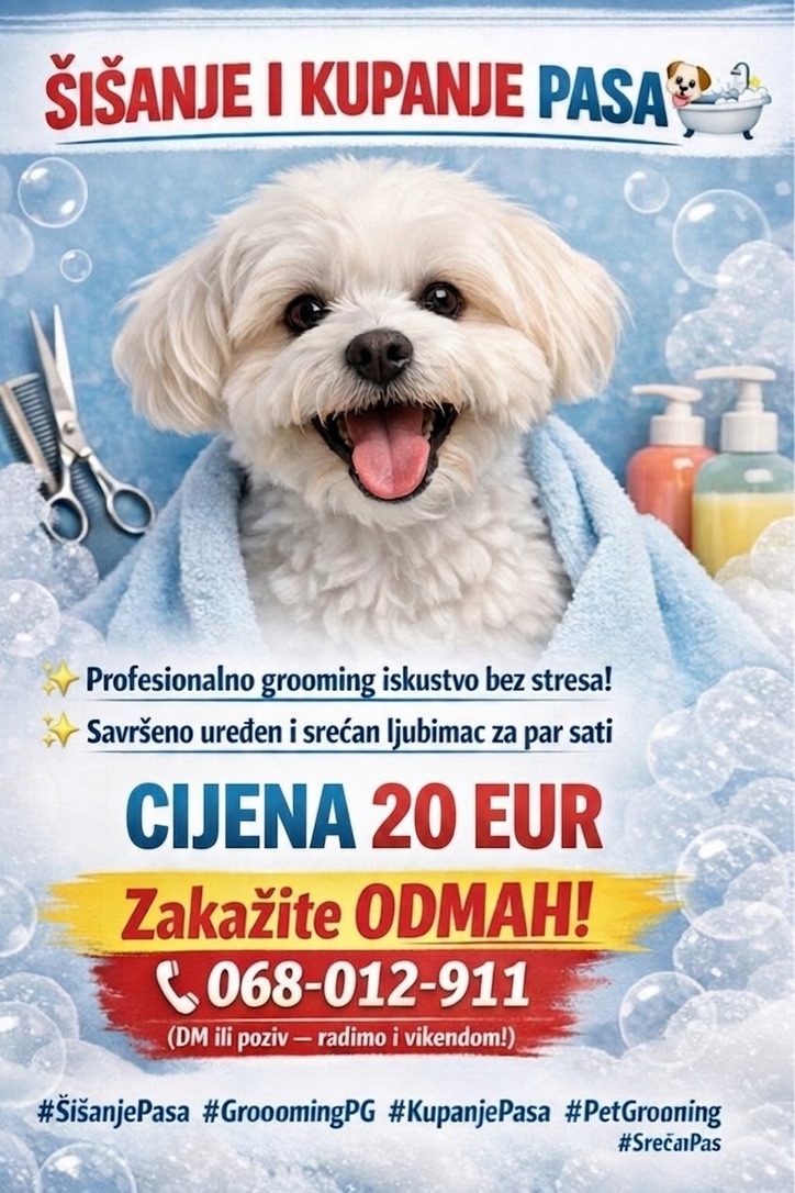 Dog grooming salon Podgorica – GroomingPG beautiful grooming results