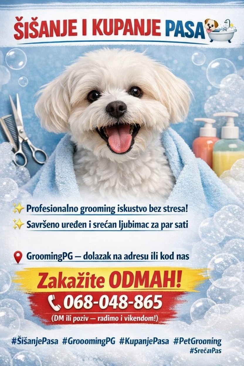 Dog grooming salon Podgorica – GroomingPG beautiful grooming results